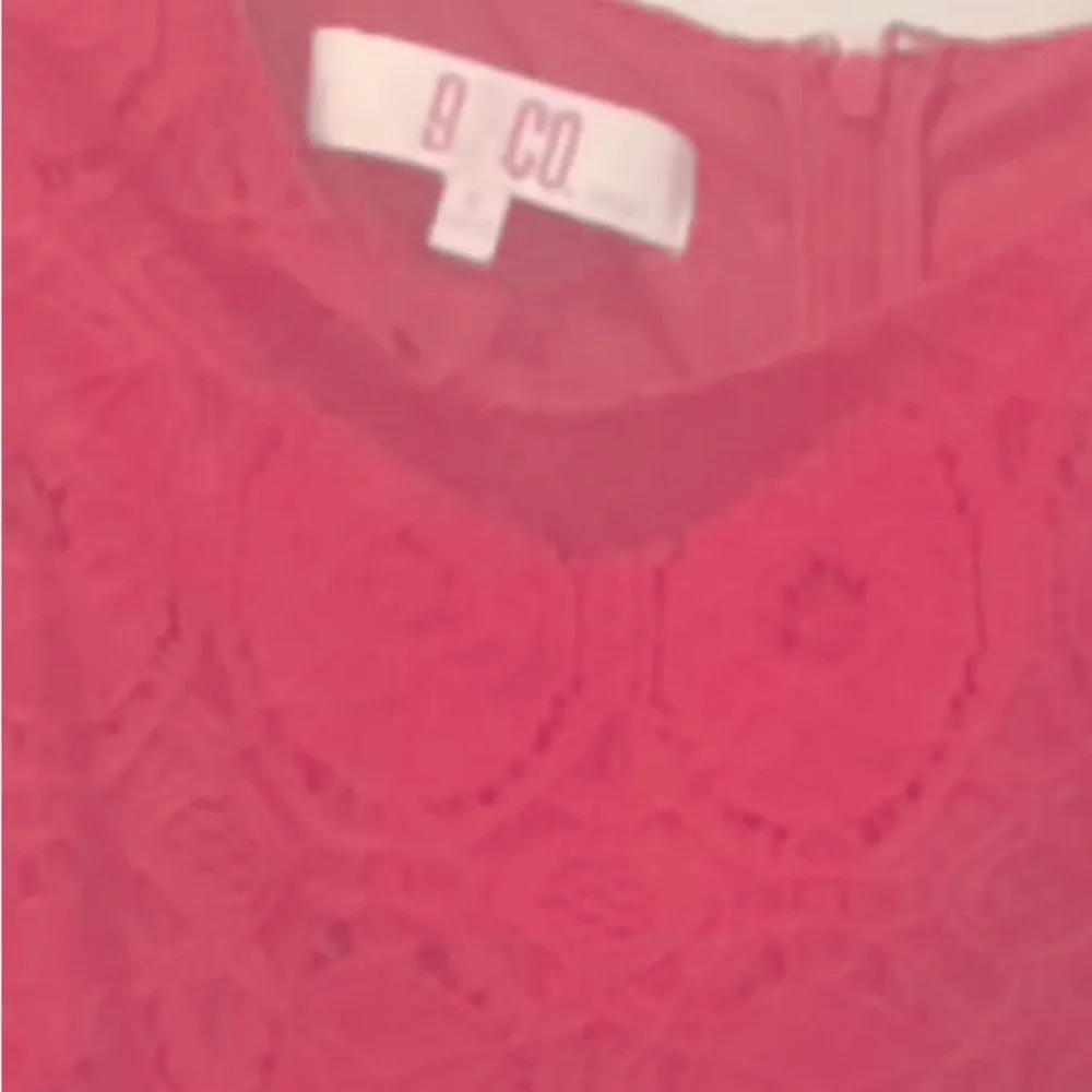 Pretty in Pink Lace Fitted Dress - Picture 3 of 3